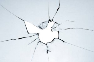 L'era dei cocci