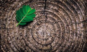 Alle radici profonde del pensiero ecologista