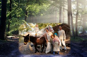 La famiglia del bosco andrebbe un po’ copiata, non rieducata