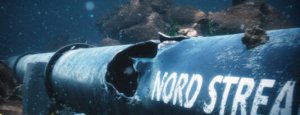 L'amico terrorista
