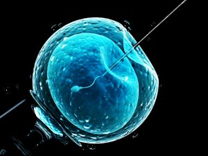 La follia della mamma intenzionale