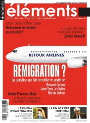 Remigrazione