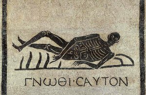 Diventa ciò che sei