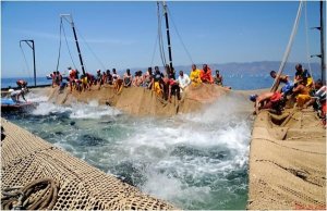 La chiusura della tonnara