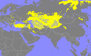 Il ruolo turco in Asia centrale: atlantismo o eurasiatismo?