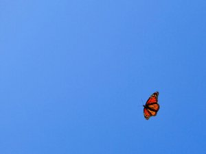Azzurro