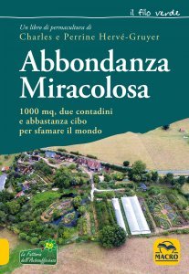 Abbondanza Miracolosa