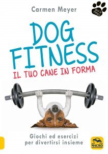 Dog Fitness - Ebook