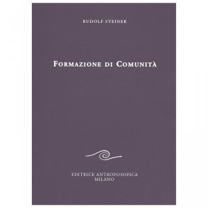 Formazione di Comunità - Libro