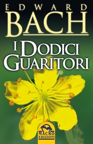 I Dodici Guaritori - Ebook