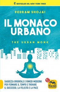 Il Monaco Urbano - Ebook