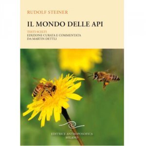 Il Mondo delle Api - Libro