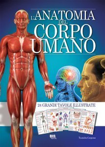L'Anatomia del Corpo Umano - Atlante