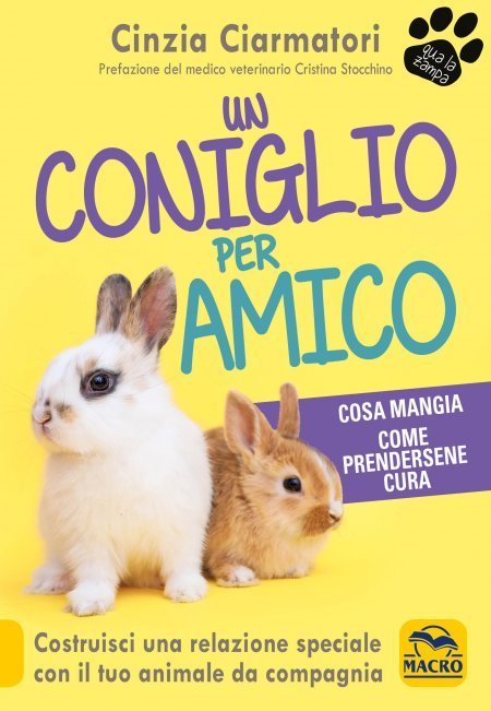 Coniglio per Amico - Libro